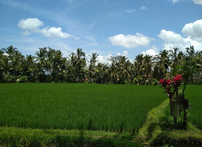 Outdoor view Photo