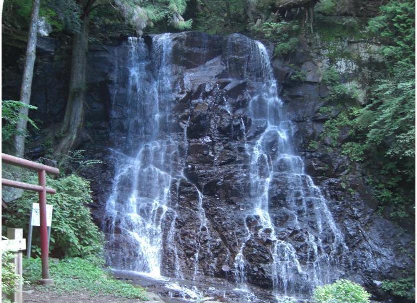 Other Photo