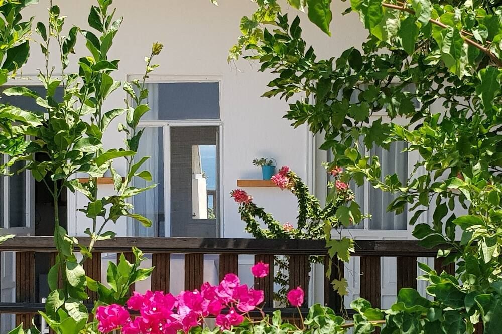 Outdoor view