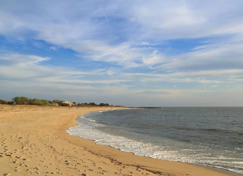 Beach Photo