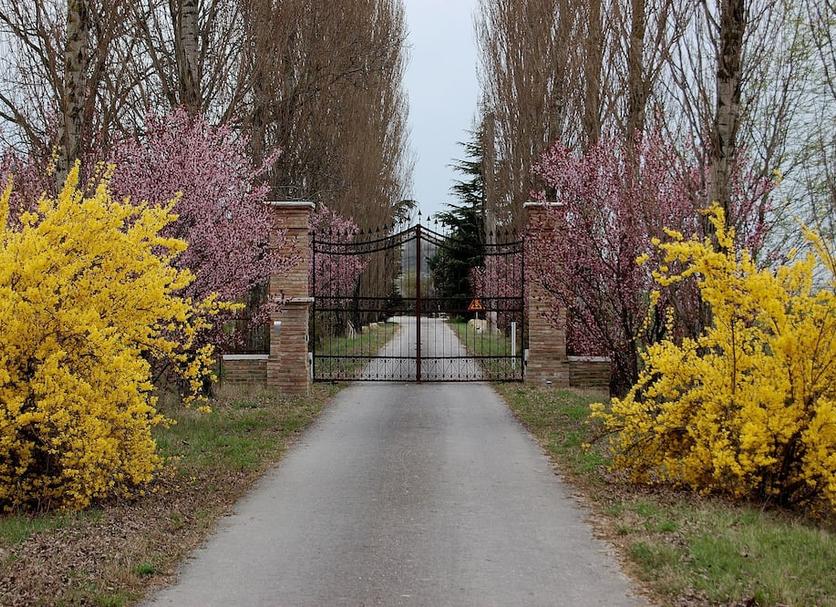 Outdoor view Photo