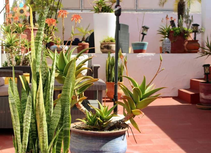 Outdoor view Photo