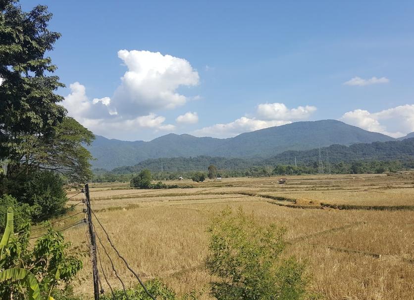 Outdoor view Photo