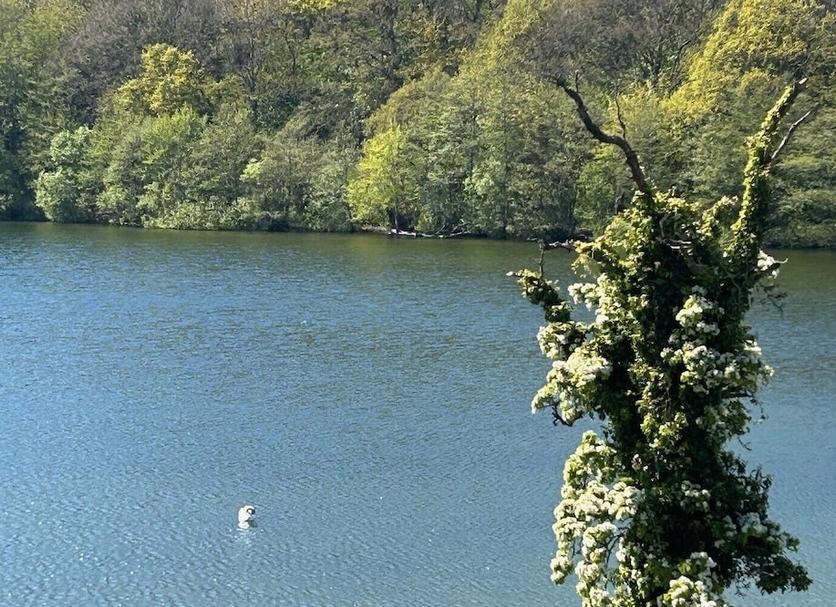 Outdoor view Photo
