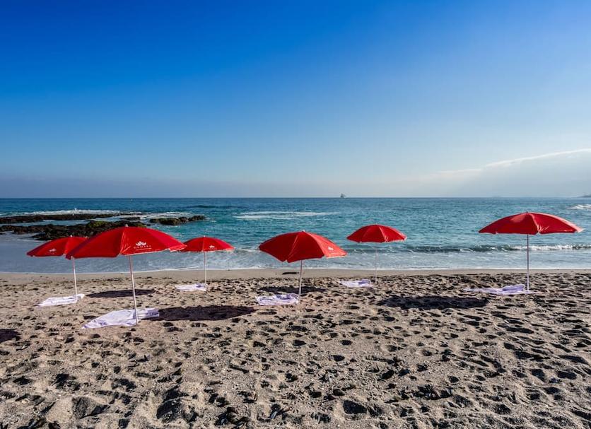 Beach Photo