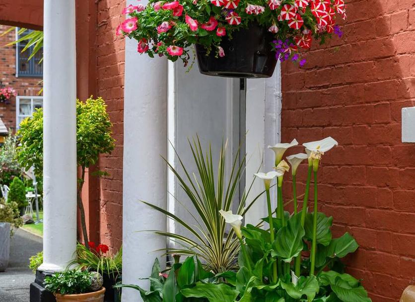 Outdoor view Photo