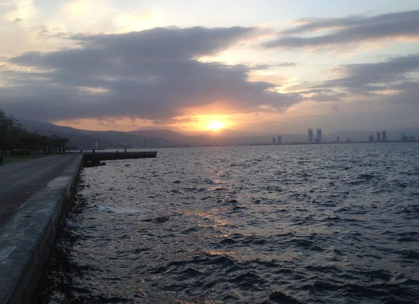 Other Photo