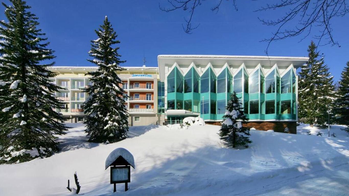 Interhotel Montana