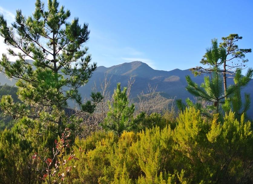 Outdoor view Photo