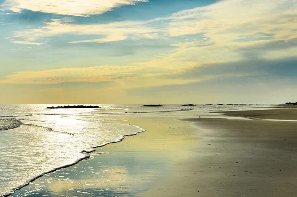 Beach Photo