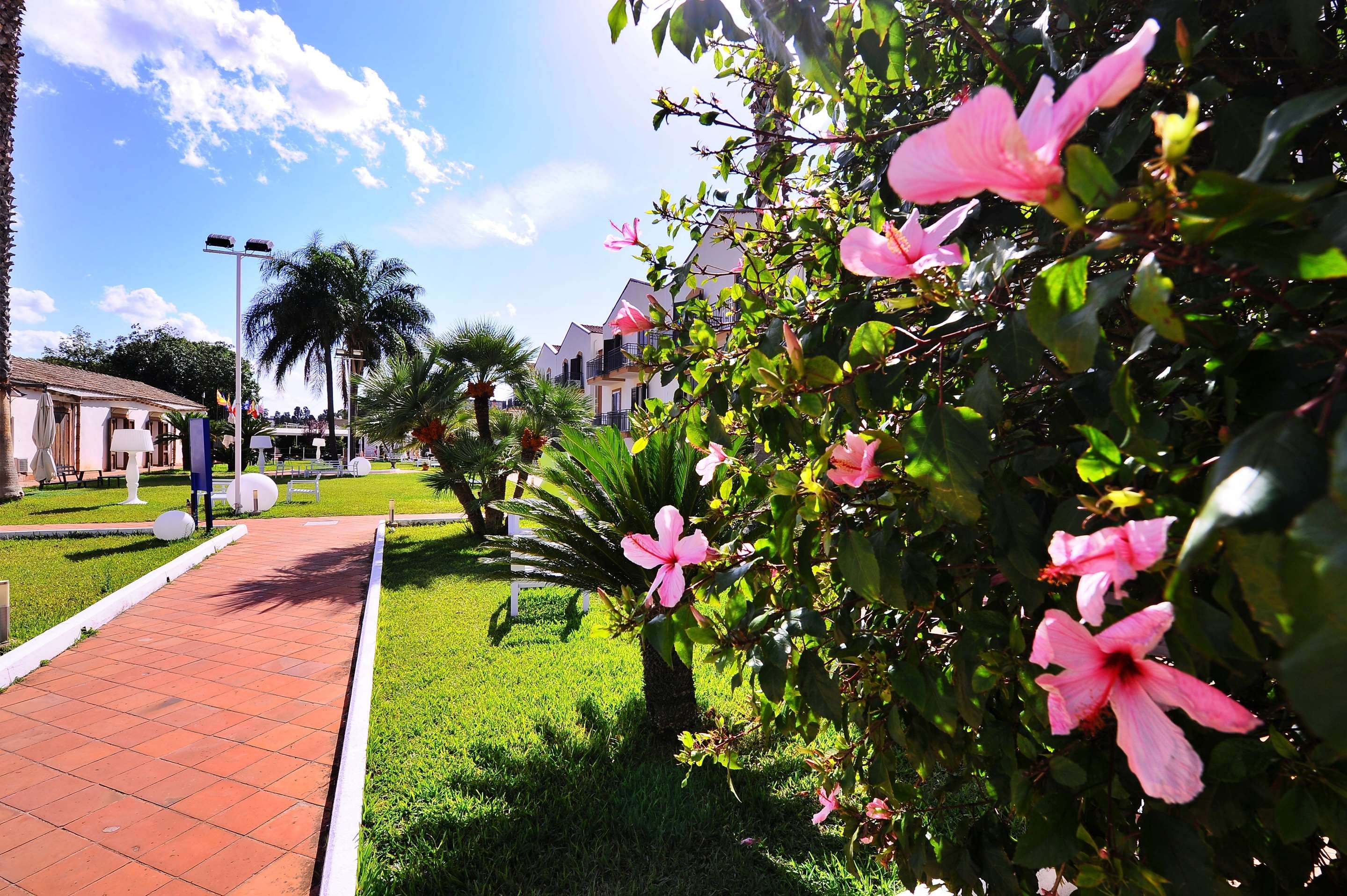 Outdoor view