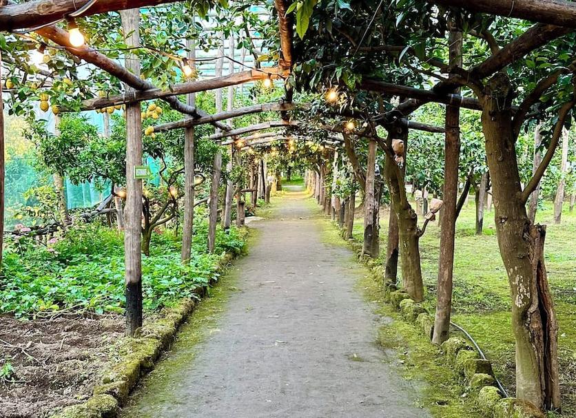 Outdoor view Photo