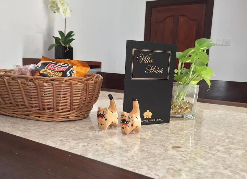 Room amenity Photo