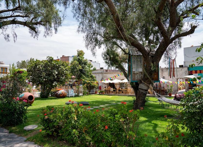 Outdoor view Photo