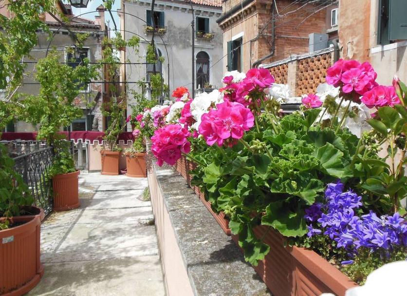 Outdoor view Photo
