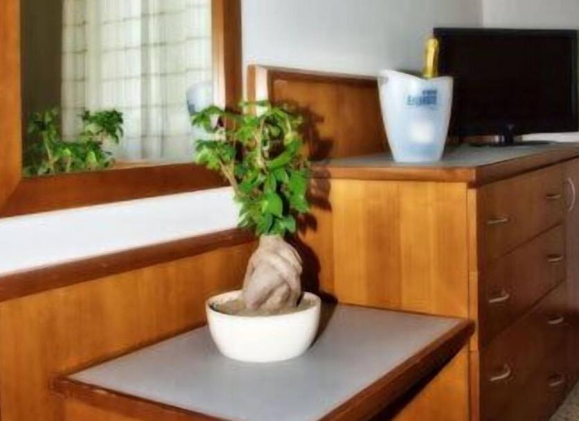 Room amenity Photo
