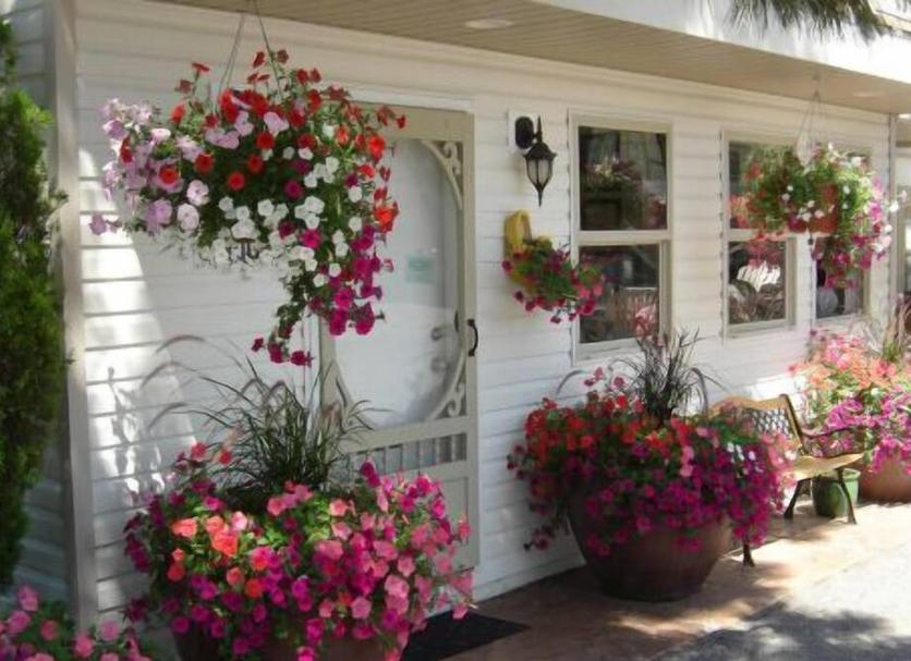 Outdoor view Photo