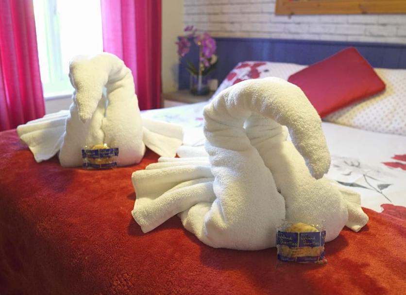 Room amenity Photo