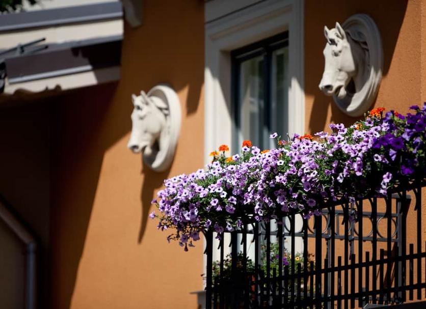 Outdoor view Photo