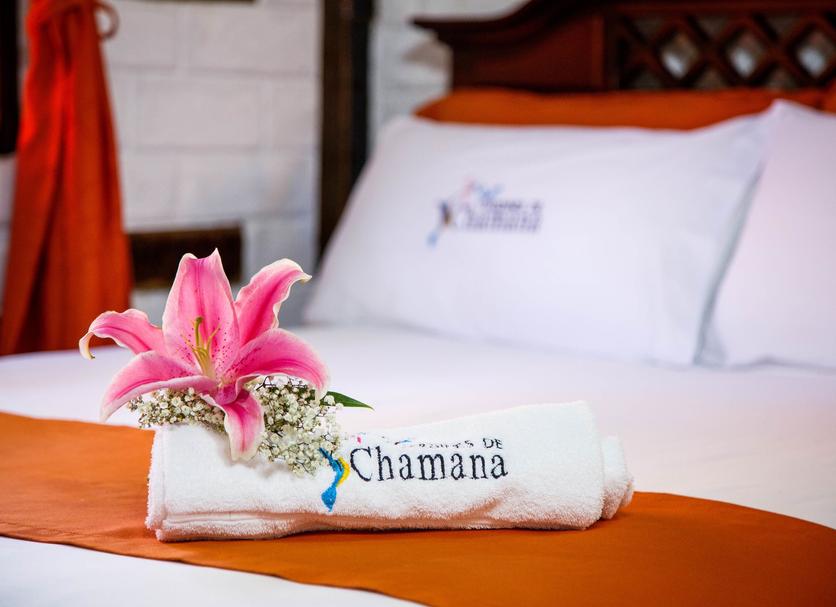 Room amenity Photo