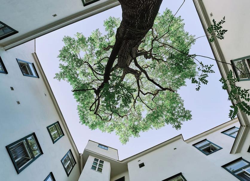 Outdoor view Photo