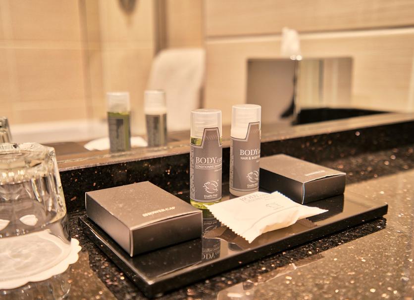 Room amenity Photo
