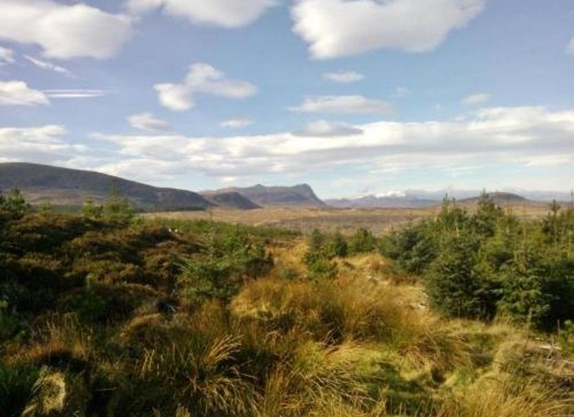 Outdoor view Photo