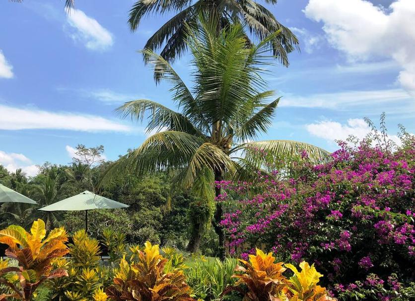 Outdoor view Photo