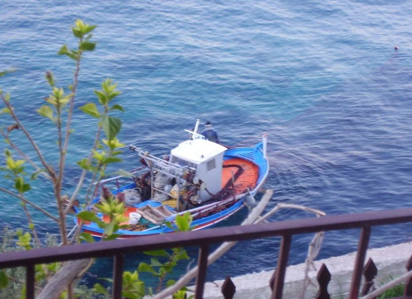 Other Photo