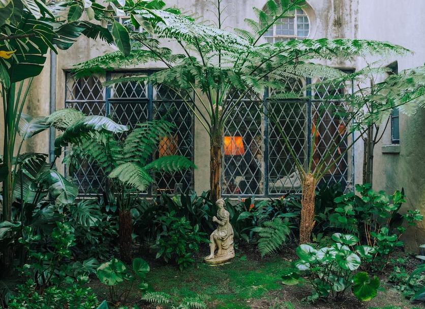 Outdoor view Photo