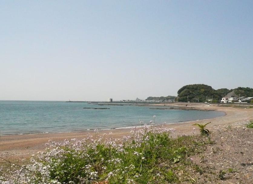Beach Photo