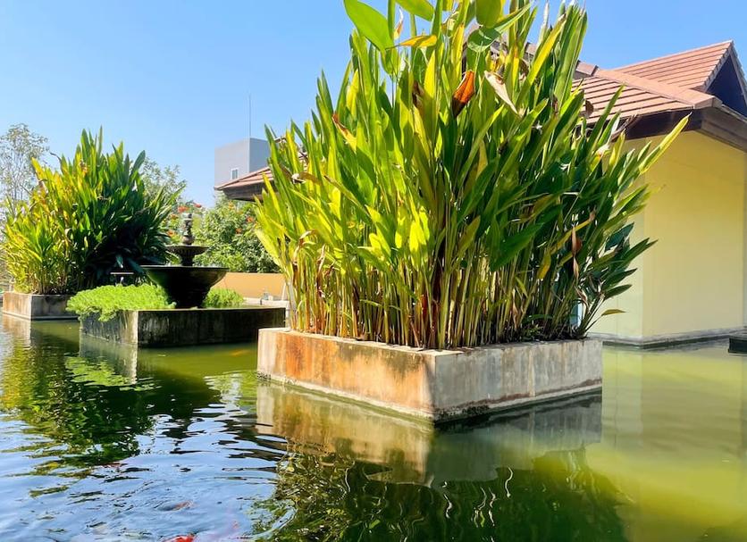 Outdoor view Photo
