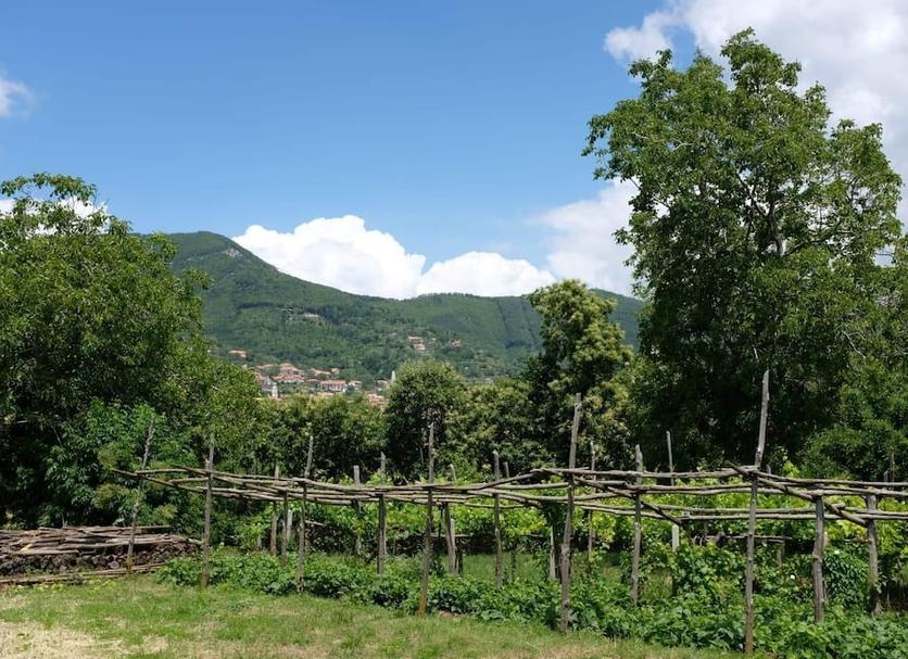 Outdoor view Photo