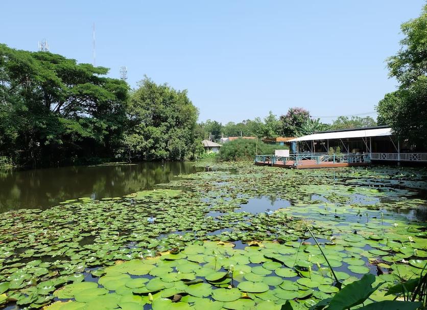 Outdoor view Photo