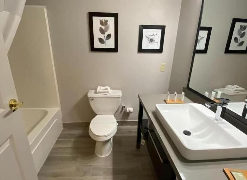 Bathroom Photo