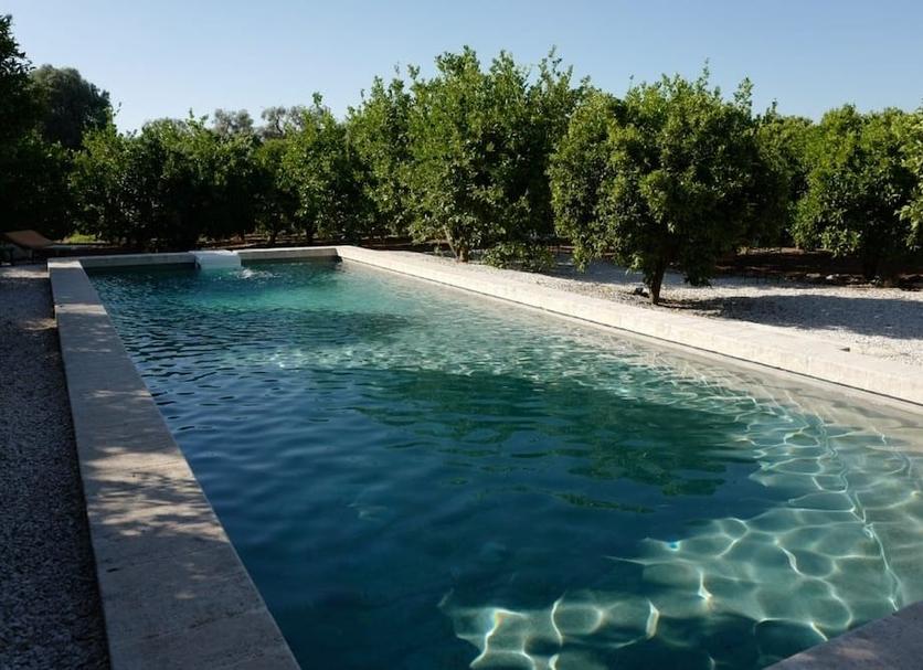 Pool Photo