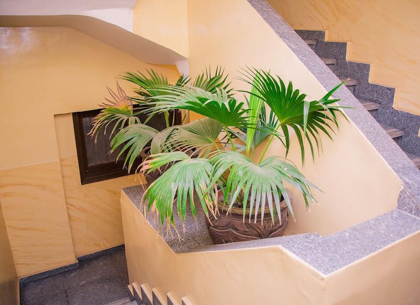 Stairs Photo