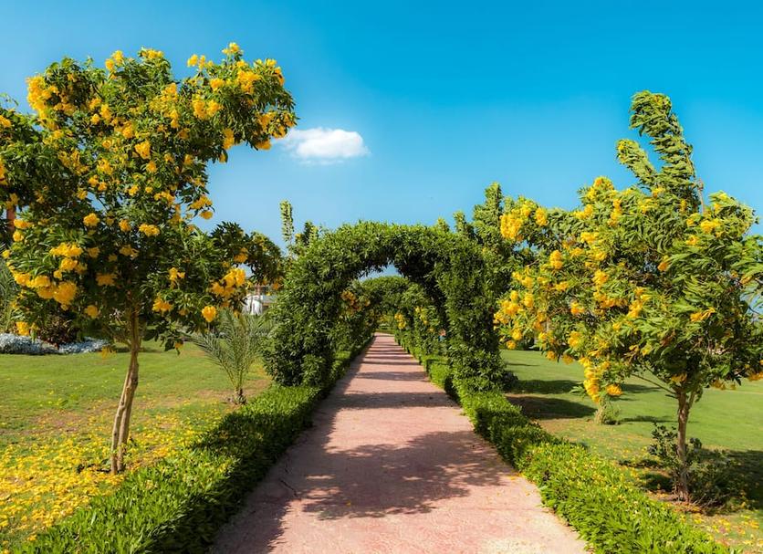 Outdoor view Photo