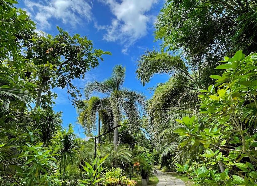 Outdoor view Photo