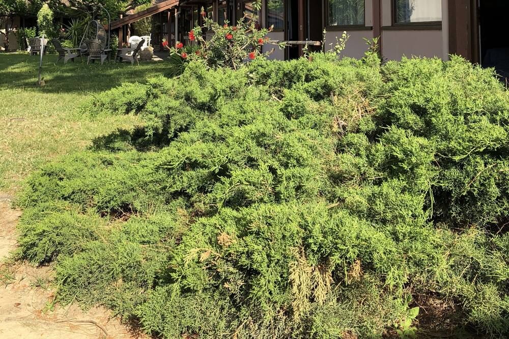 Outdoor view