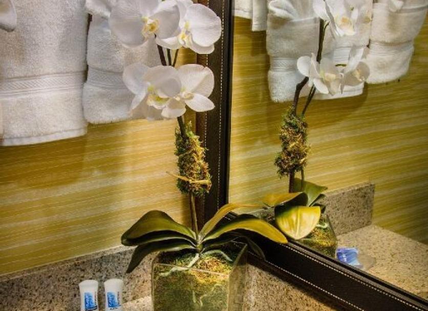 Room amenity Photo