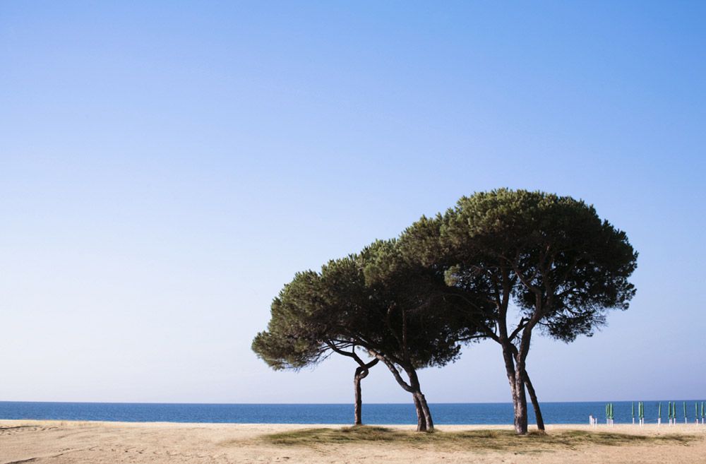 Beach