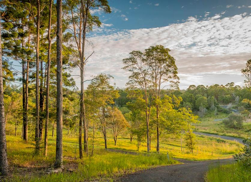 Outdoor view Photo